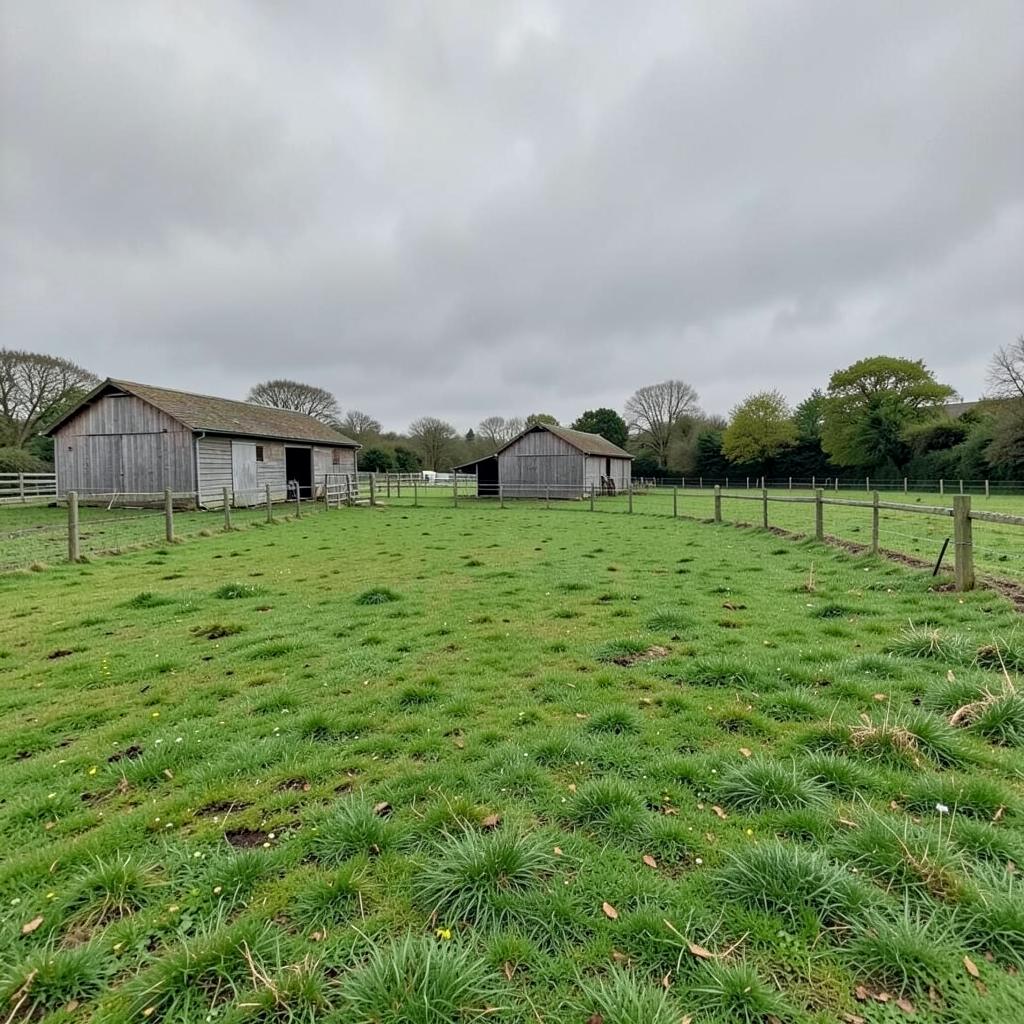 Paddock and stables, 3.2 acres